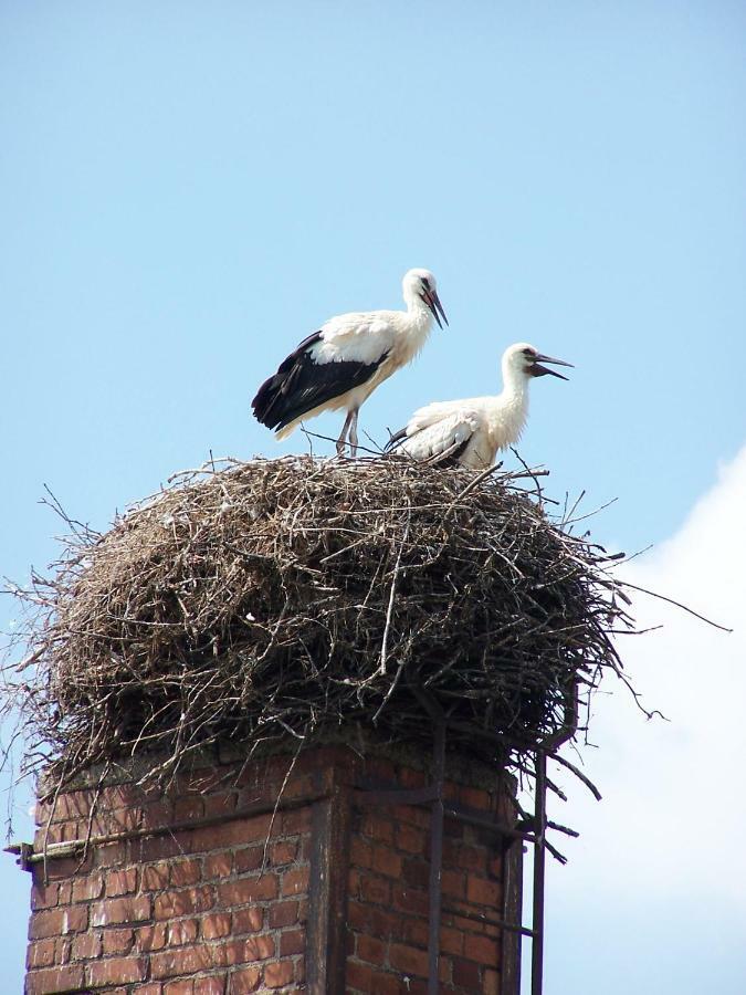 Ferien In ฮิมเมลพ์ฟอร์ท ภายนอก รูปภาพ